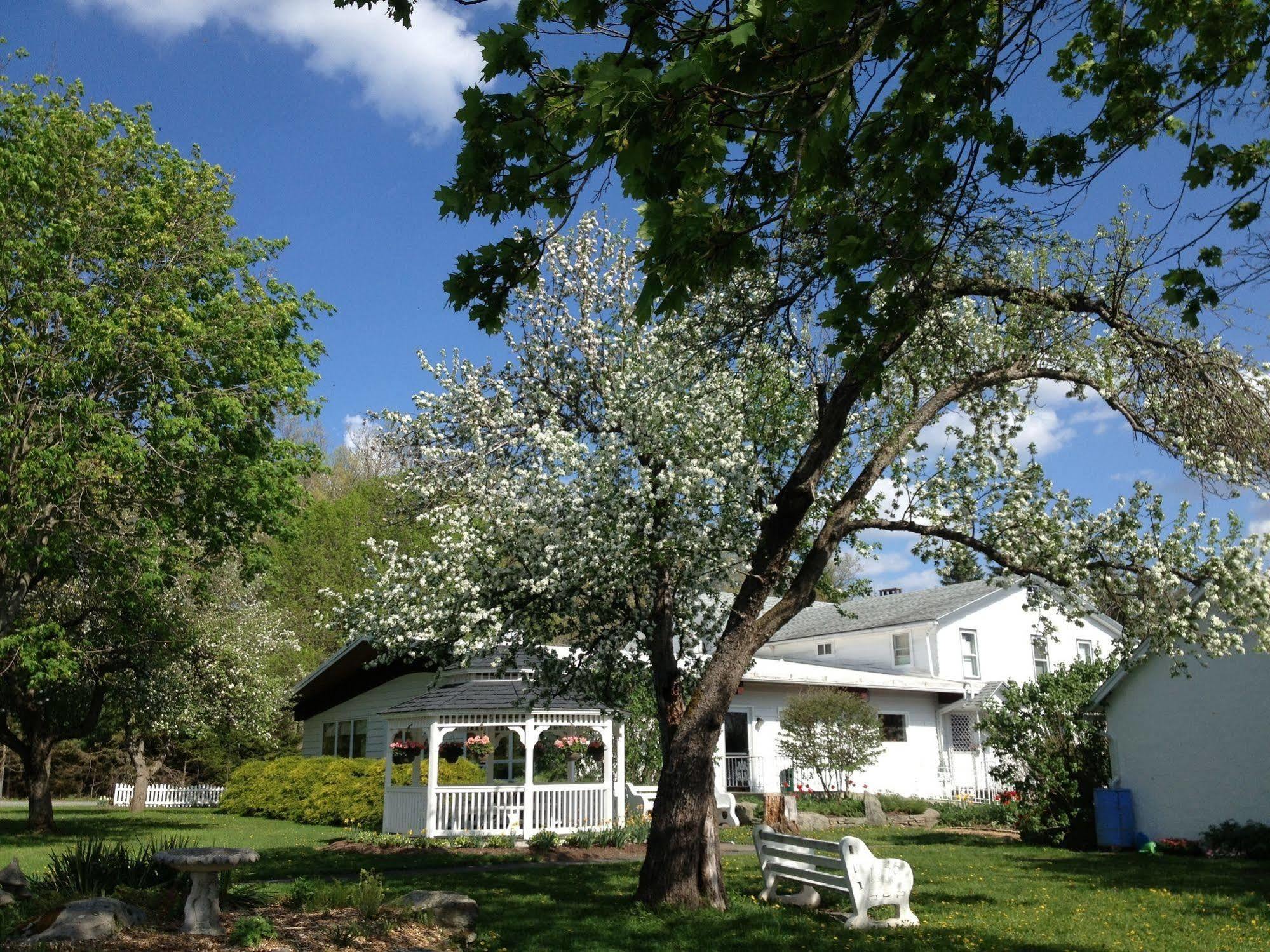Lukans Farm Resort Hawley Exteriör bild